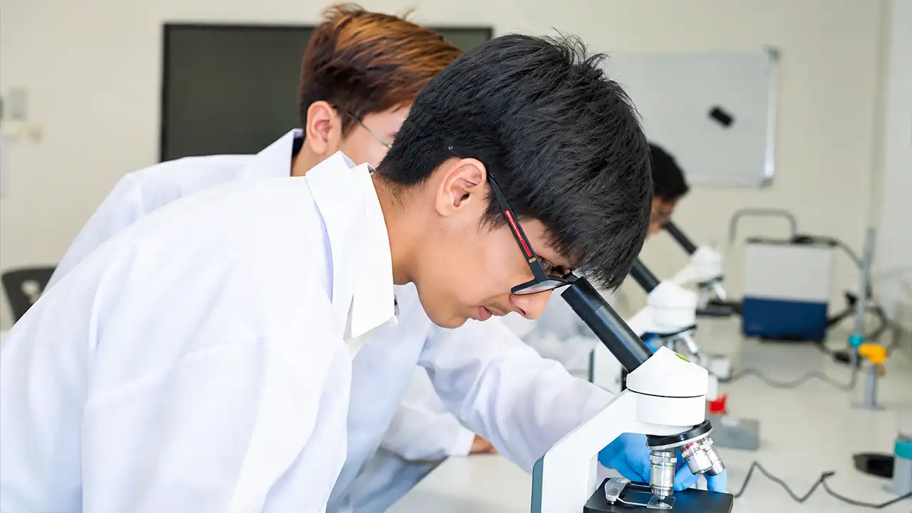 A Level Requirements for Medicine: A Planning Guide for Students in Dubai
